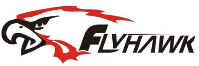 Flyhawk2
